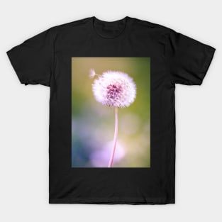 Dandelion 2 T-Shirt